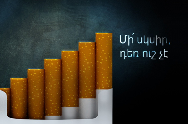 No smoking article cover